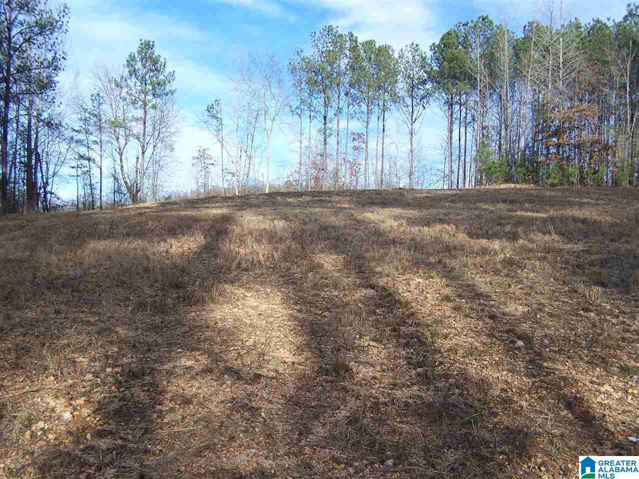 Alabama Avenue, Unit 4 Oneonta, AL 35121 - Photo 6 of 10