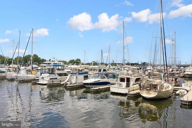 a group of boats are docked in a harbor