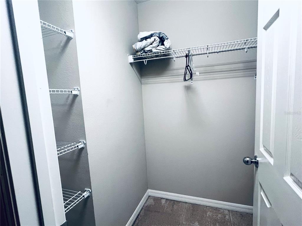 7007 Towne Lake Road Riverview, FL 33578 - Photo 15 of 16 a close view of closet