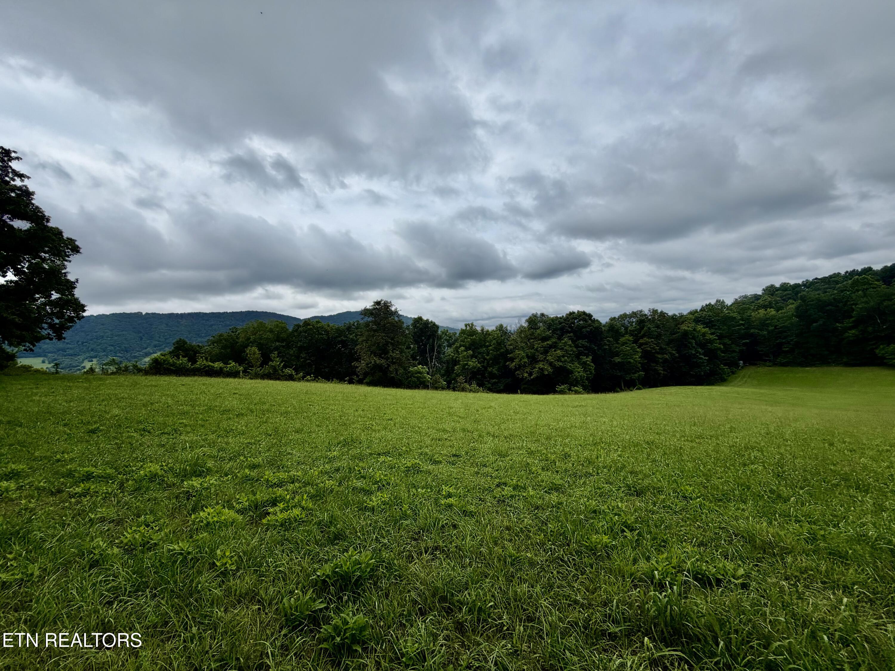 1545 Estes Road Tazewell, TN 37879 - Photo 20 of 34 IMG_5132