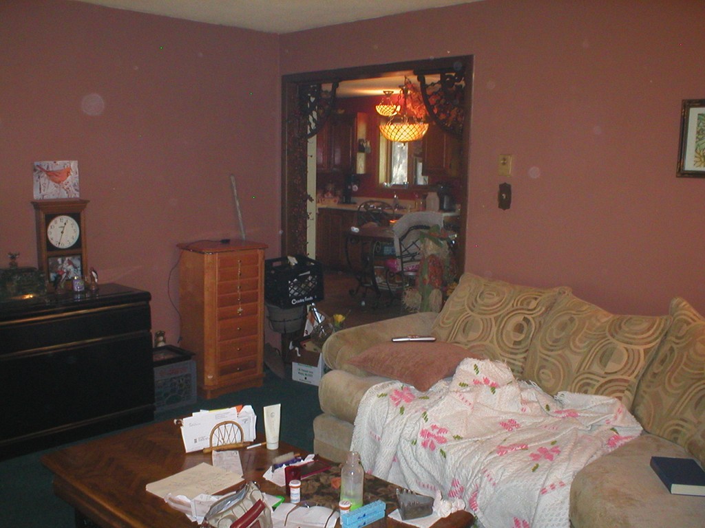48 Undine Circle Springfield, MA 01109 - Photo 8 of 12