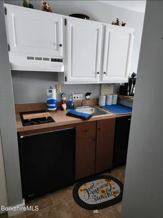 a kitchen with a sink a stove and cabinets