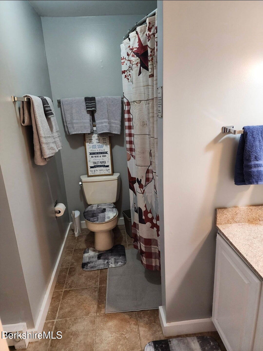 37 Corey Road, Unit 521 Hancock, MA 01237 - Photo 10 of 14 a bathroom with a toilet and a mirror