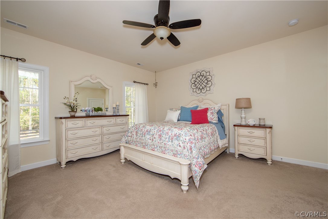 6060 Cartersville Road Powhatan, VA 23139 - Photo 30 of 47 Gallery Image 30
