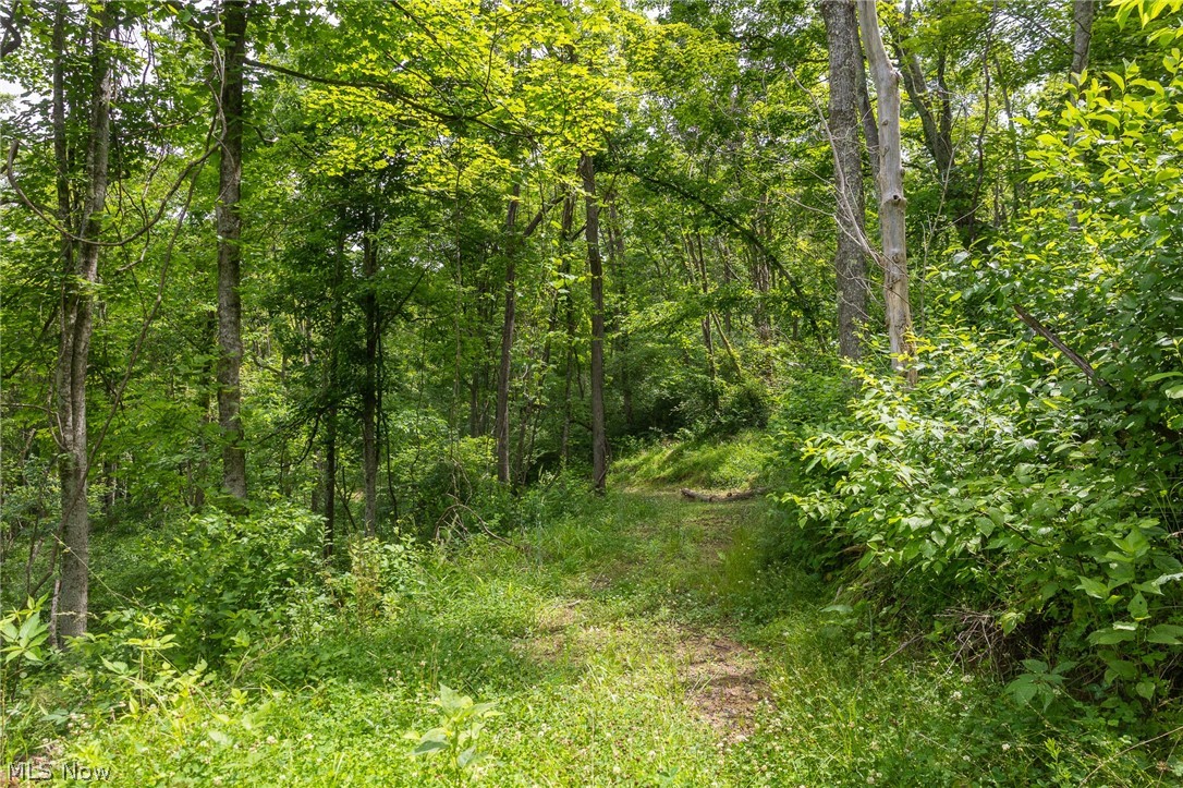 Kinnen Road Caldwell, OH 43724 - Photo 18 of 37