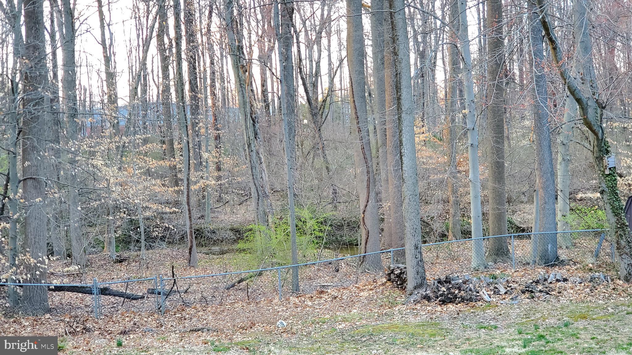 135 North Hunter Forge Road Newark, DE 19713 - Photo 17 of 20 Property backs to woods and creek