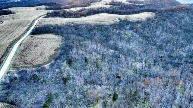 $239,900 | Lot 3 Lucky Lane, Eastman, WI 54626