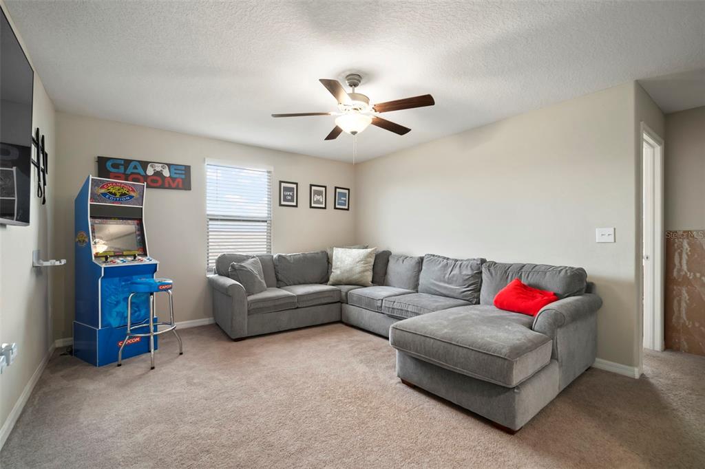 5430 Blue Azure Drive Wimauma, FL 33598 - Photo 33 of 46 a living room with furniture ceiling fan and a rug