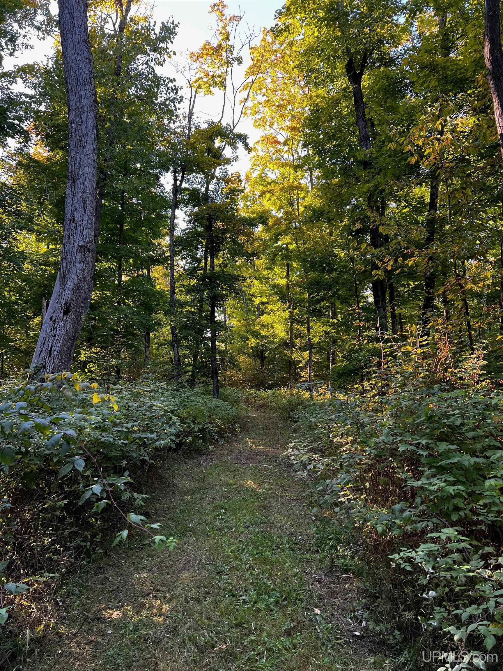4875 North Chip Lake Road Germfask, MI 49836 - Photo 25 of 43 Gallery Image 25