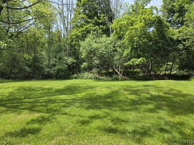 4581 Broad Road Onondaga, NY 13215 - Photo 24 of 29 Back Yard