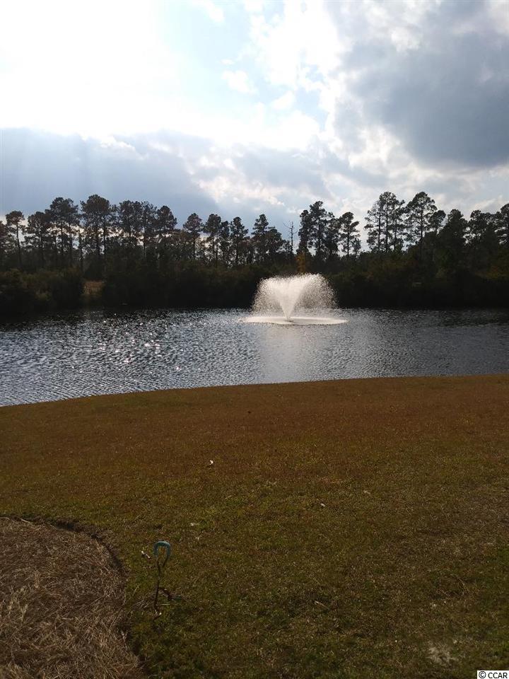374 Kiskadee Loop, Unit #38A Conway, SC 29526 - Photo 4 of 21 Gallery Image 4