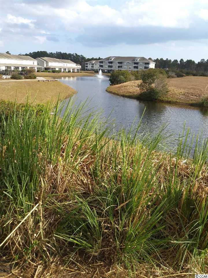 374 Kiskadee Loop, Unit #38A Conway, SC 29526 - Photo 7 of 21 Gallery Image 7