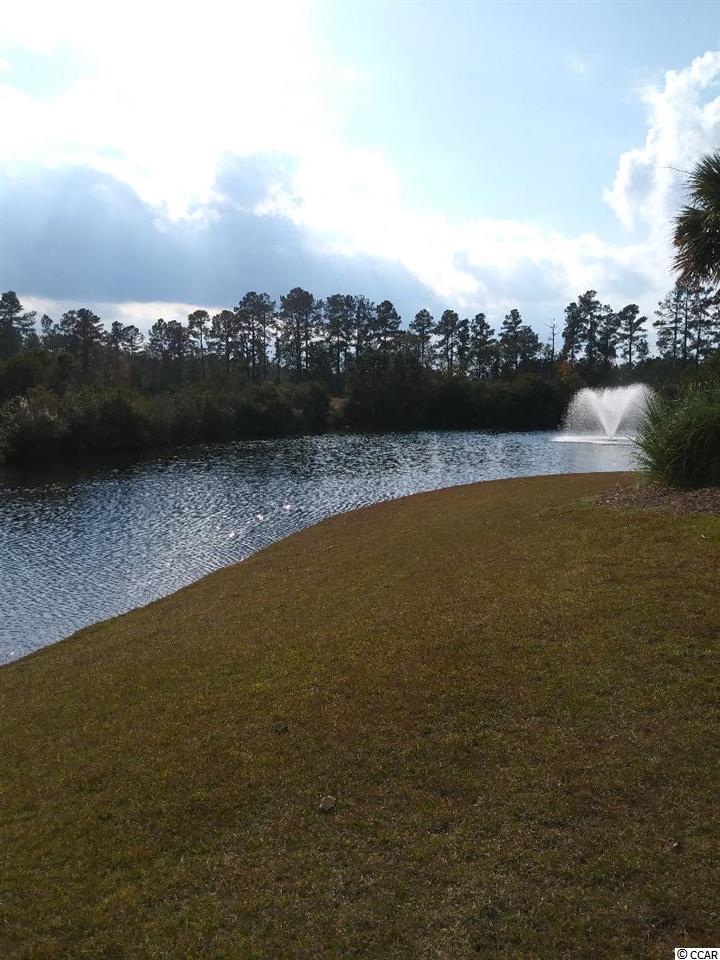 374 Kiskadee Loop, Unit #38A Conway, SC 29526 - Photo 8 of 21 Gallery Image 8