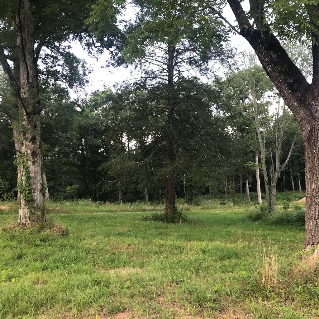 979 Shaver Road Dayton, TN 37321 - Photo 4 of 15
