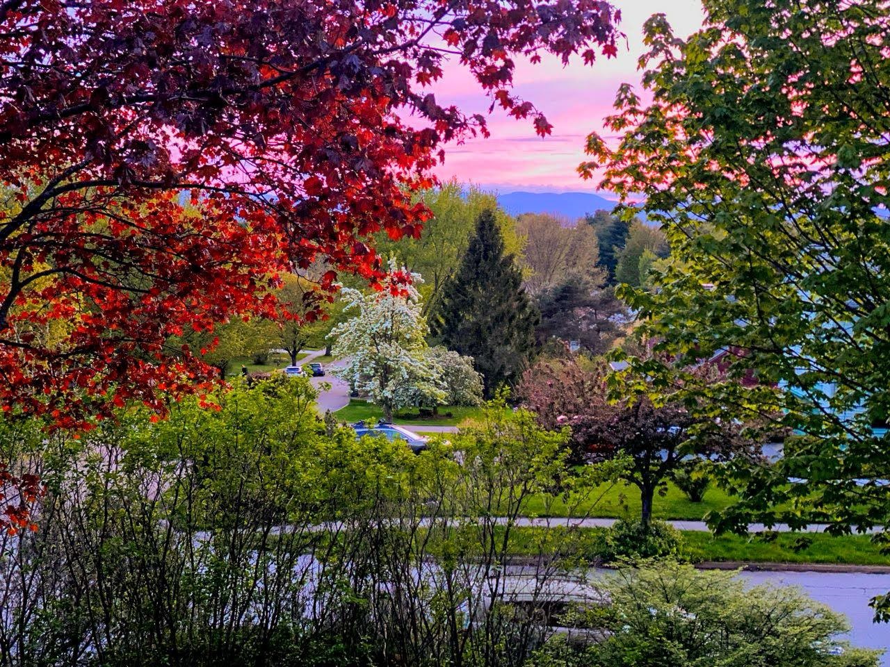 5 Harbor Ridge Road South Burlington, VT 05403 - Photo 4 of 60 Gallery Image 4