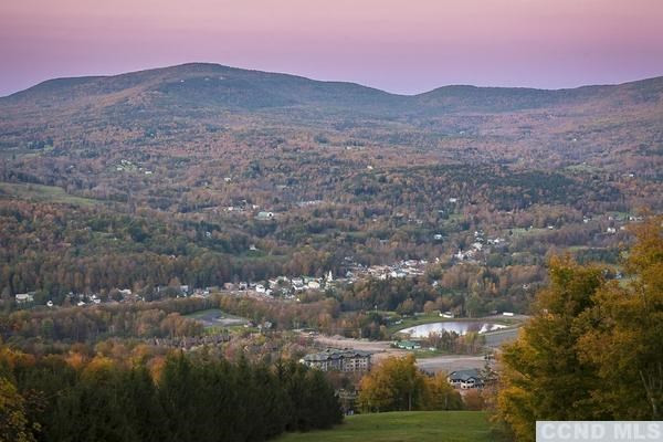 78 Club Road Windham, NY 12496 - Photo 2 of 8 Fall view from your new home!