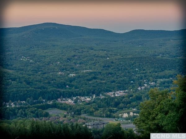 78 Club Road Windham, NY 12496 - Photo 3 of 8 Photo 3