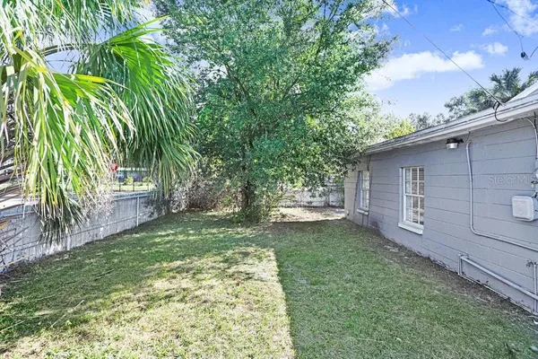 a view of a backyard with a tree