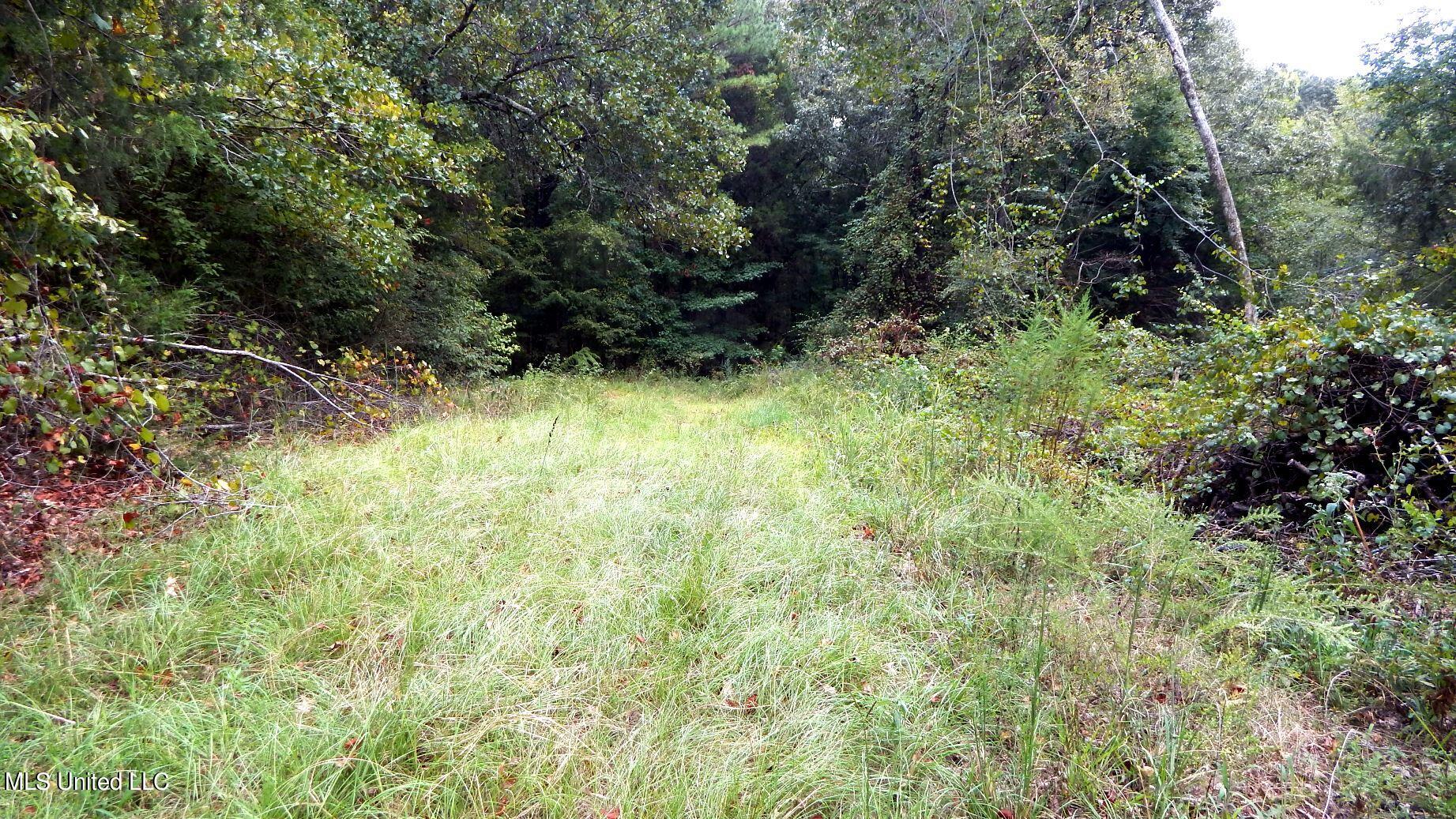 525 Franklin Road Batesville, MS 38606 - Photo 1 of 25 Land