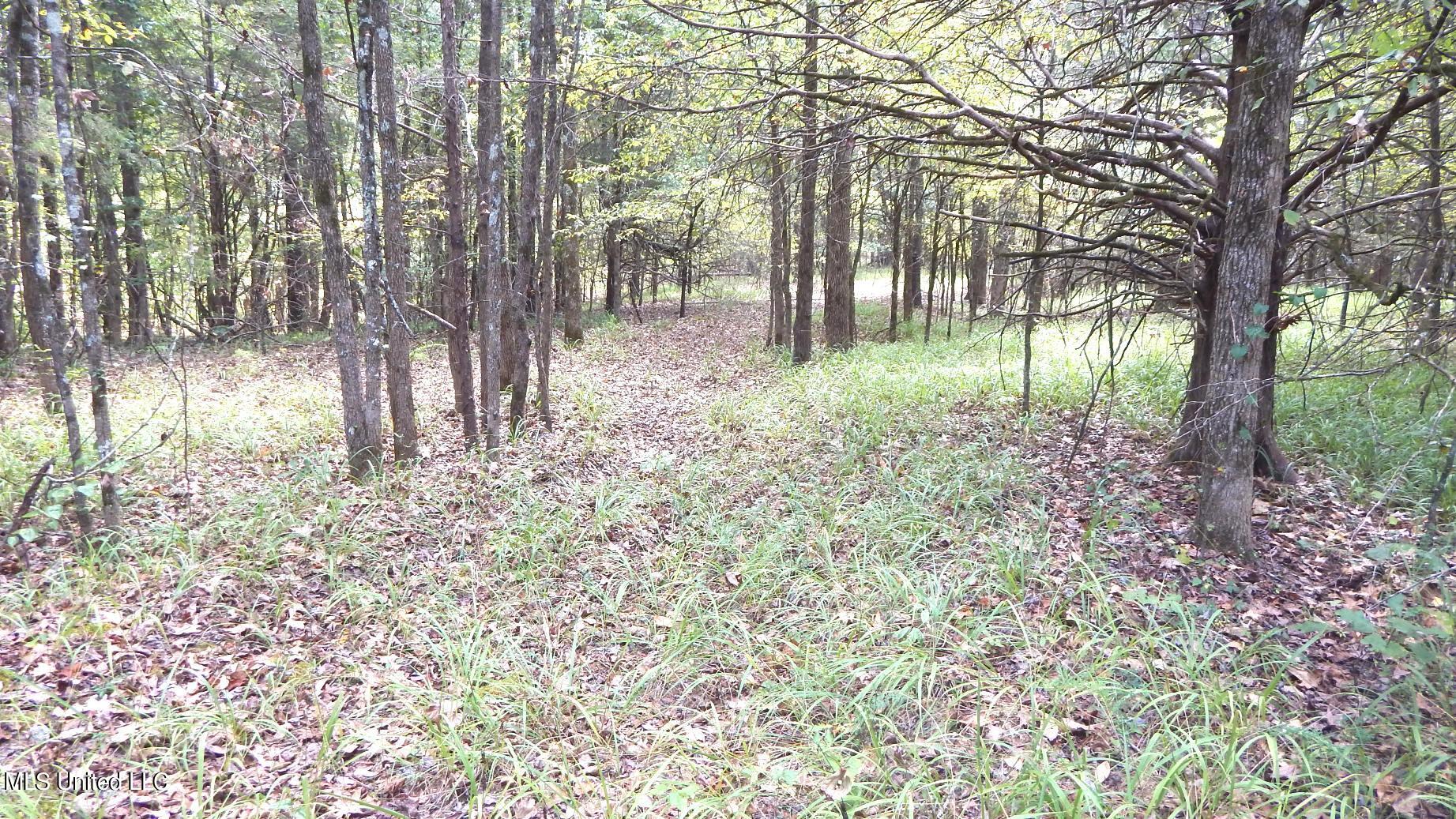 525 Franklin Road Batesville, MS 38606 - Photo 13 of 25 DSCN5805