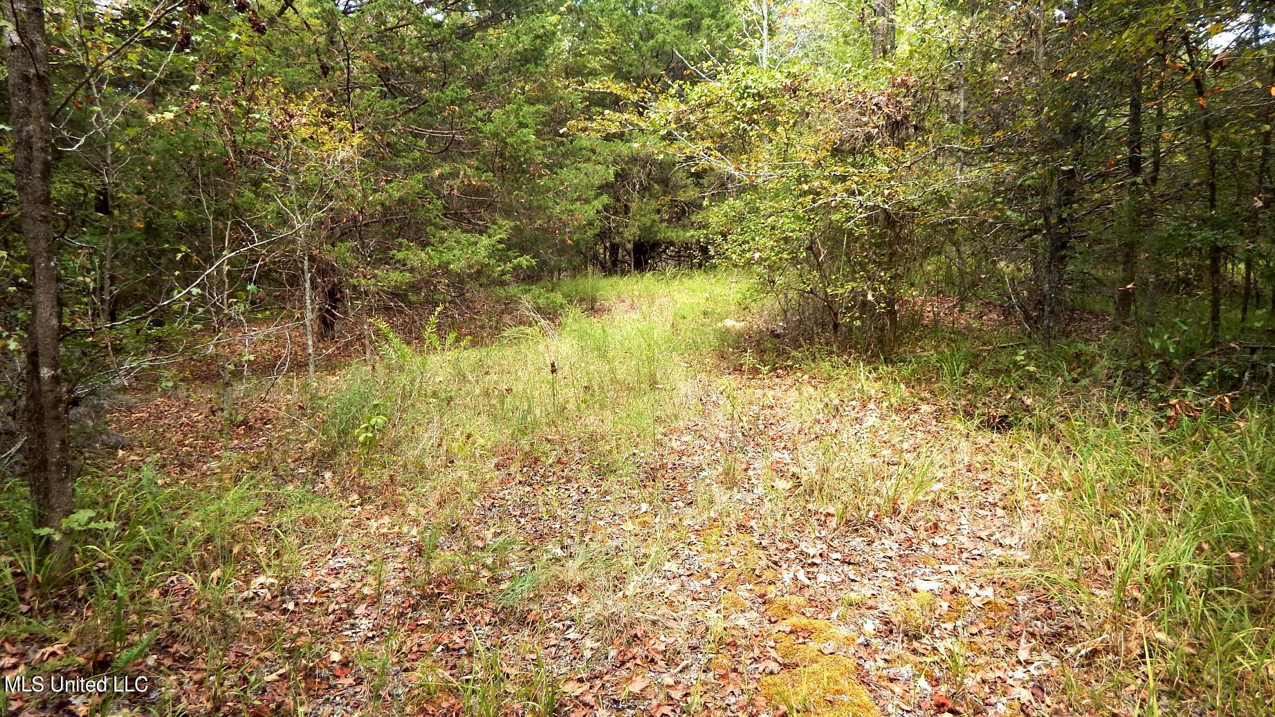 525 Franklin Road Batesville, MS 38606 - Photo 14 of 25 DSCN5806