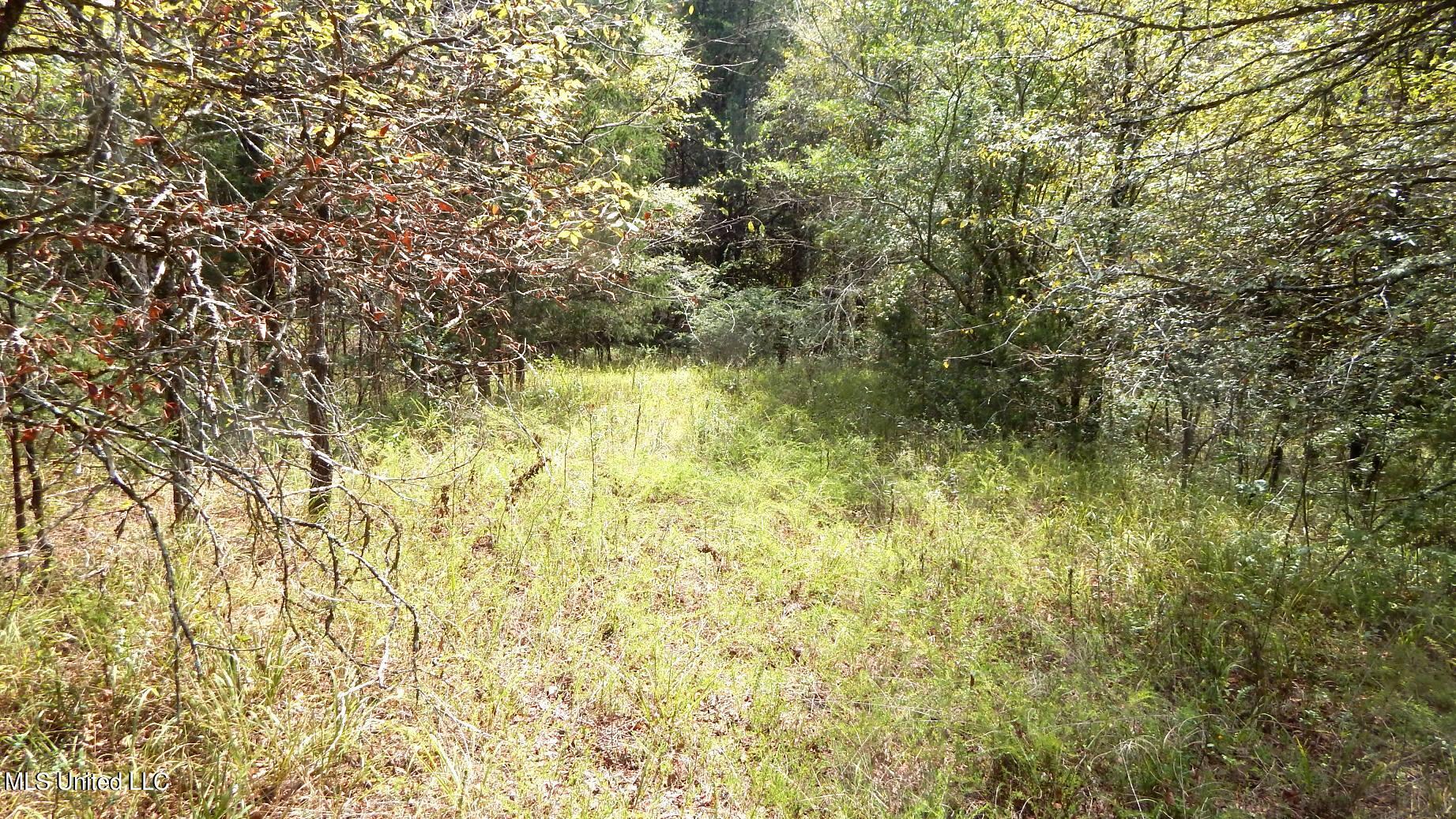 525 Franklin Road Batesville, MS 38606 - Photo 15 of 25 DSCN5807
