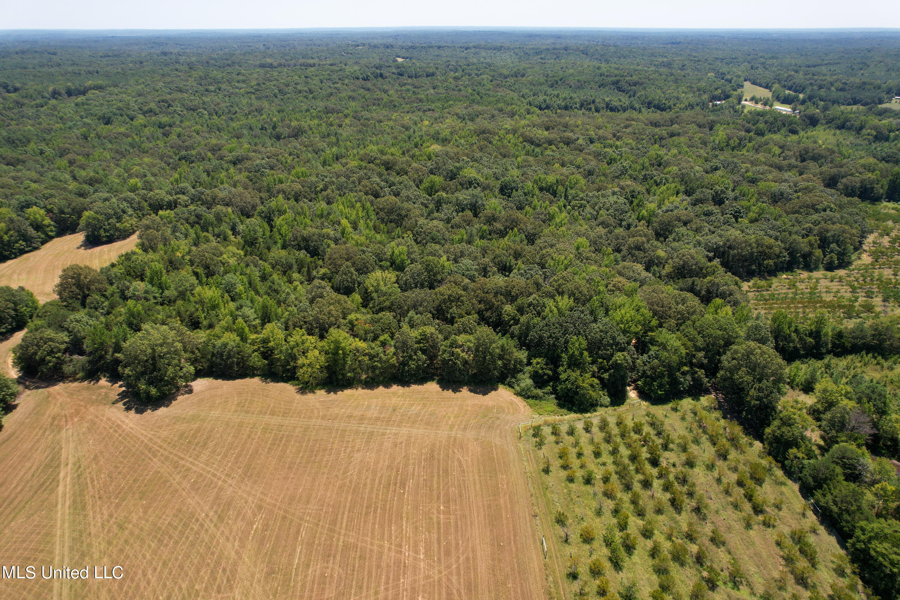 525 Franklin Road Batesville, MS 38606 - Photo 16 of 25 DJI_0114-2