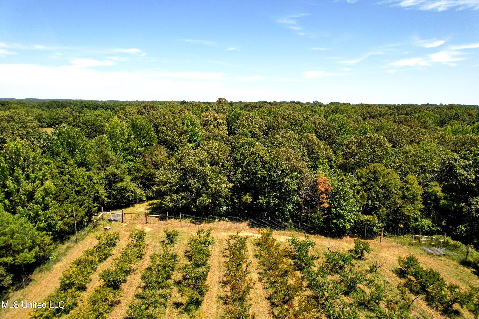 525 Franklin Road Batesville, MS 38606 - Photo 17 of 25 DJI_0144-2