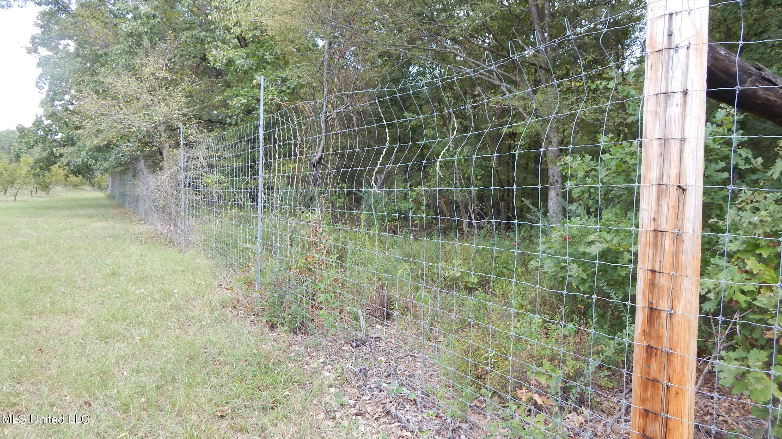 525 Franklin Road Batesville, MS 38606 - Photo 19 of 25 DSCN5799
