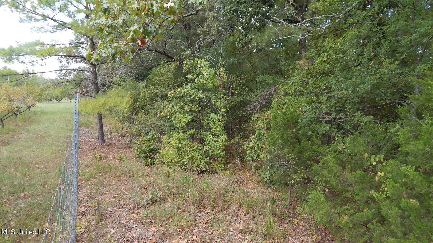 525 Franklin Road Batesville, MS 38606 - Photo 20 of 25 DSCN5808