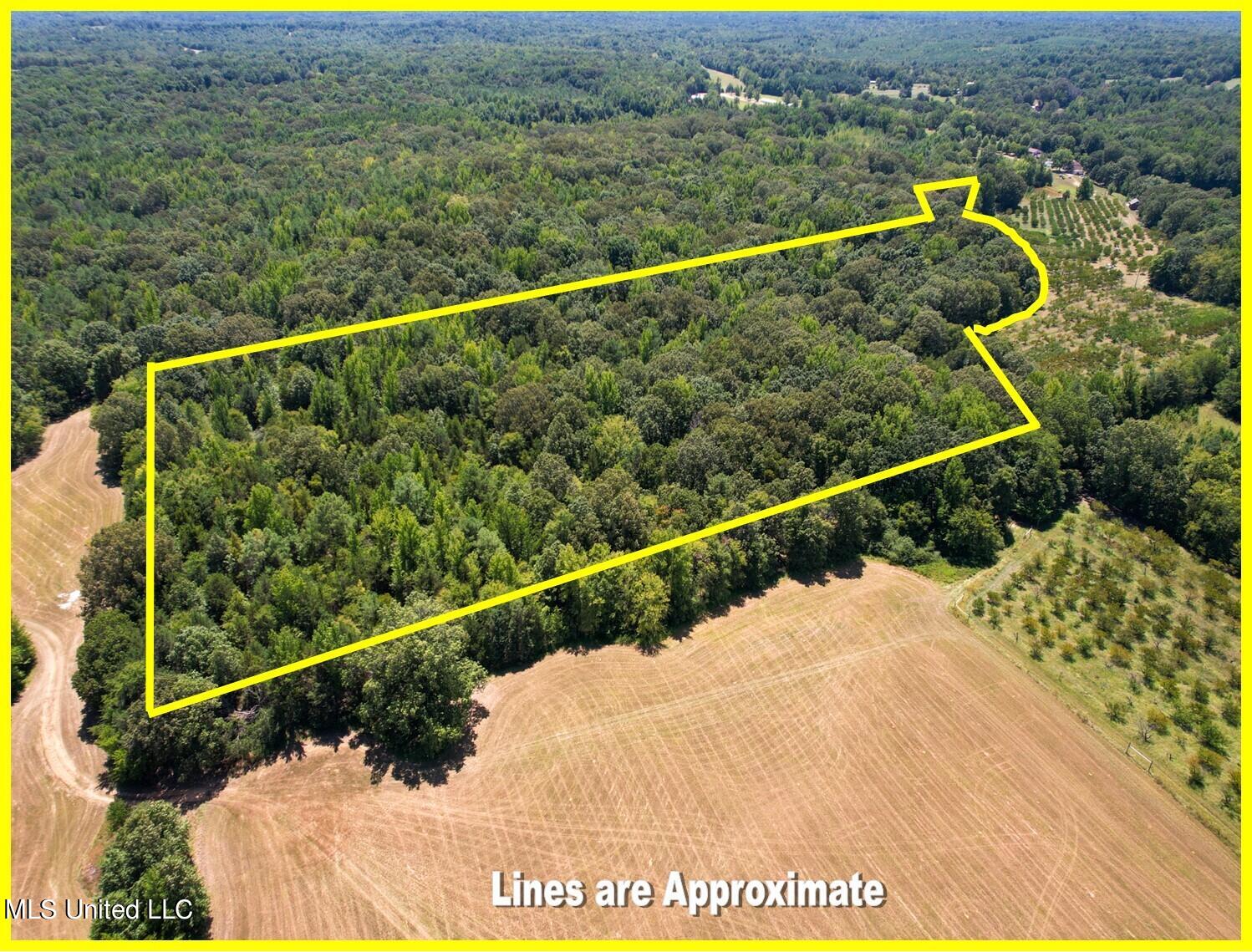 525 Franklin Road Batesville, MS 38606 - Photo 5 of 25 A1