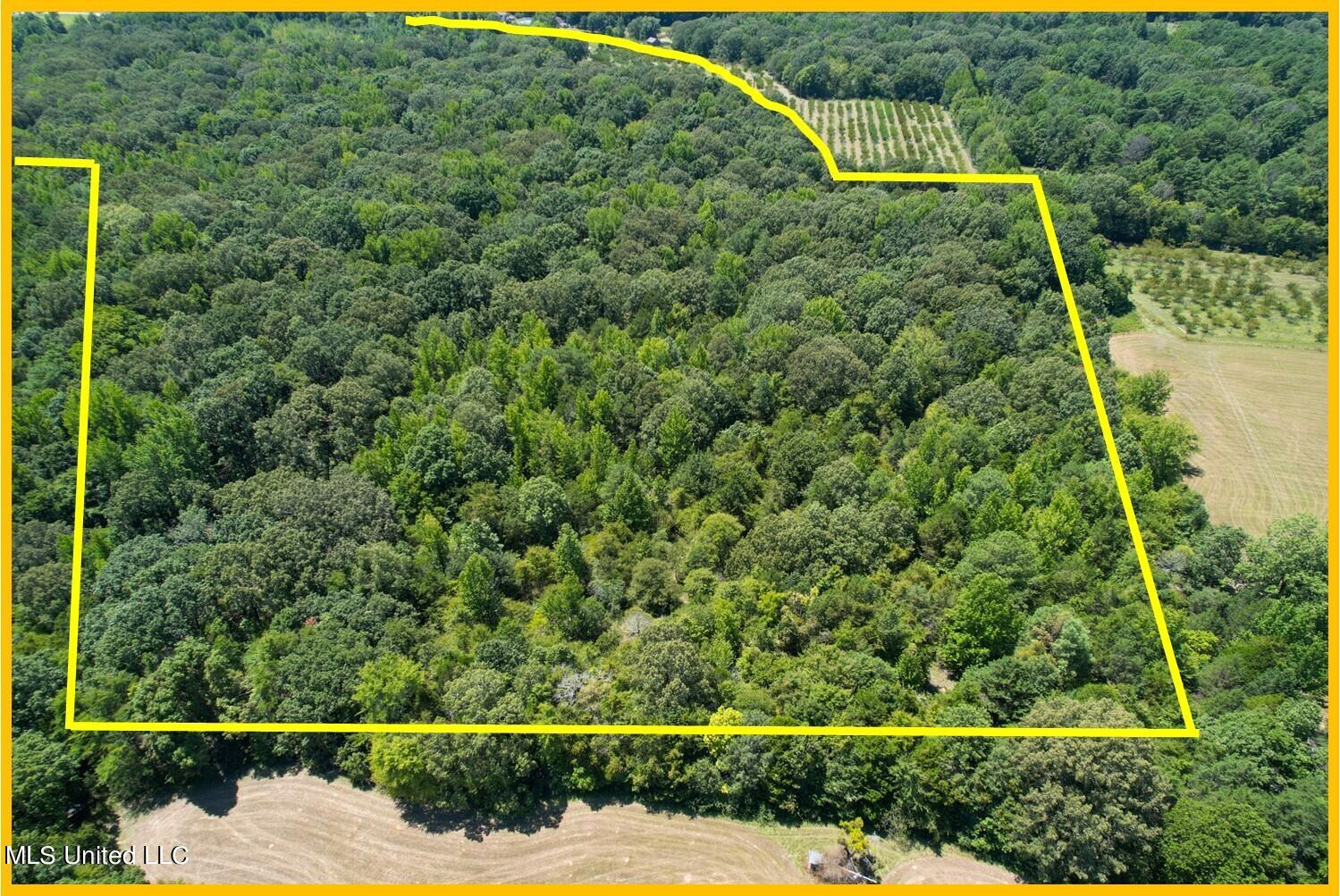 525 Franklin Road Batesville, MS 38606 - Photo 6 of 25 A2