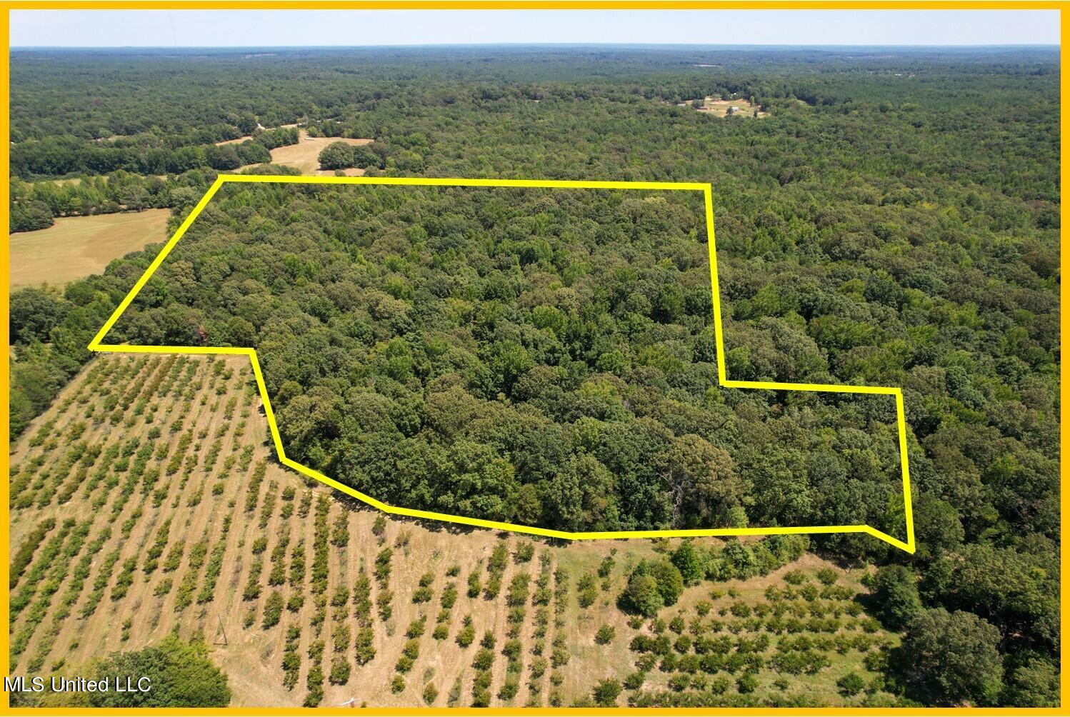 525 Franklin Road Batesville, MS 38606 - Photo 7 of 25 A3