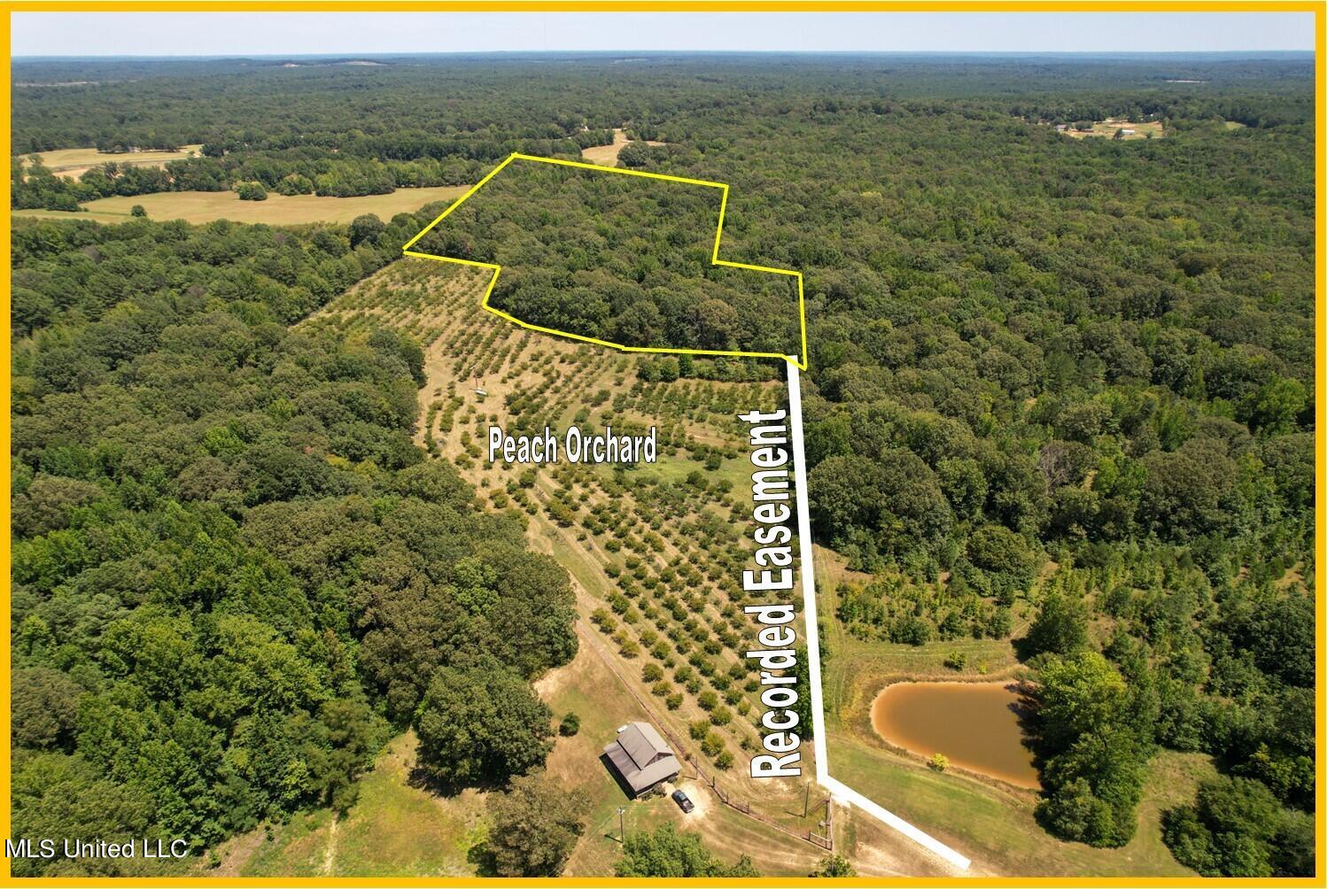 525 Franklin Road Batesville, MS 38606 - Photo 8 of 25 A4