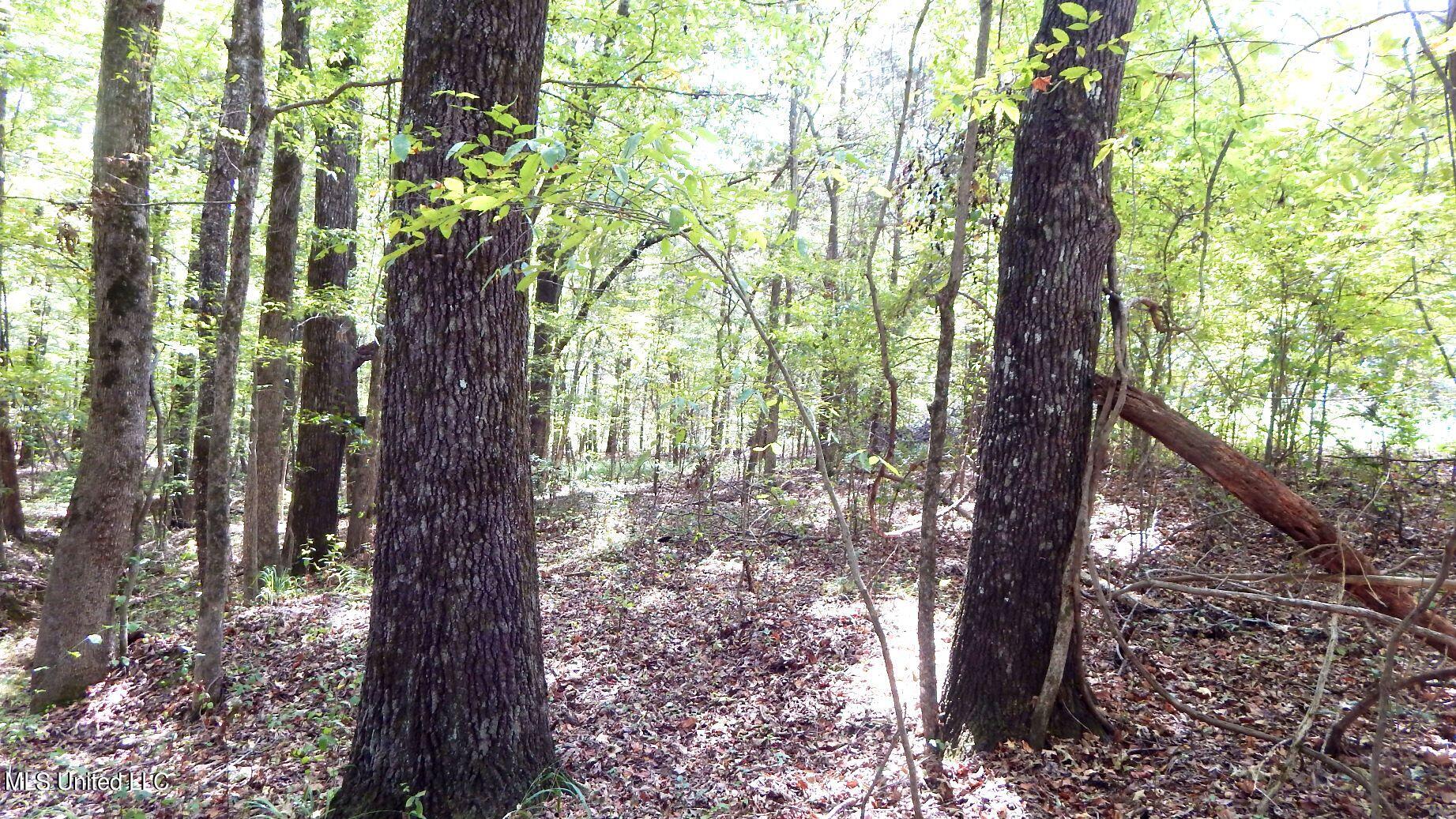 525 Franklin Road Batesville, MS 38606 - Photo 9 of 25 DSCN5801