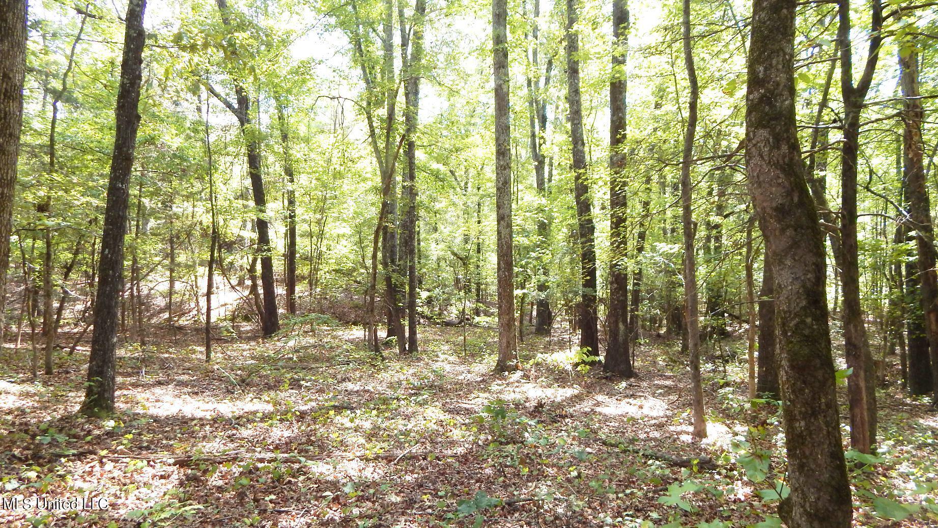 525 Franklin Road Batesville, MS 38606 - Photo 10 of 25 DSCN5802