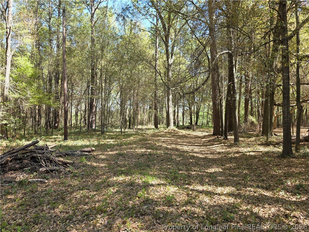 5354 Muscat Road Hope Mills, NC 28348 - Photo 11 of 12 a view of outdoor space with trees