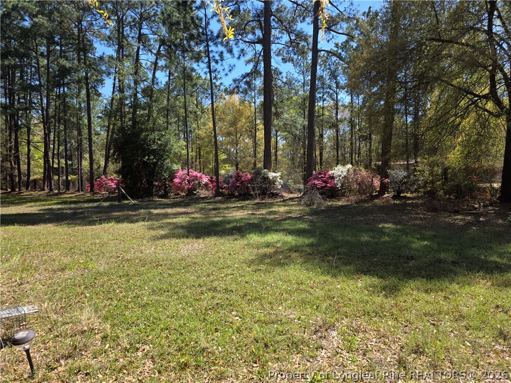 5354 Muscat Road Hope Mills, NC 28348 - Photo 12 of 12 a view of a fountain in front of a house