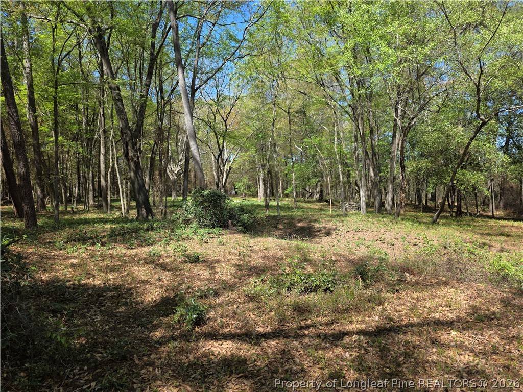 5354 Muscat Road Hope Mills, NC 28348 - Photo 4 of 12 a backyard of a house with lots of green space