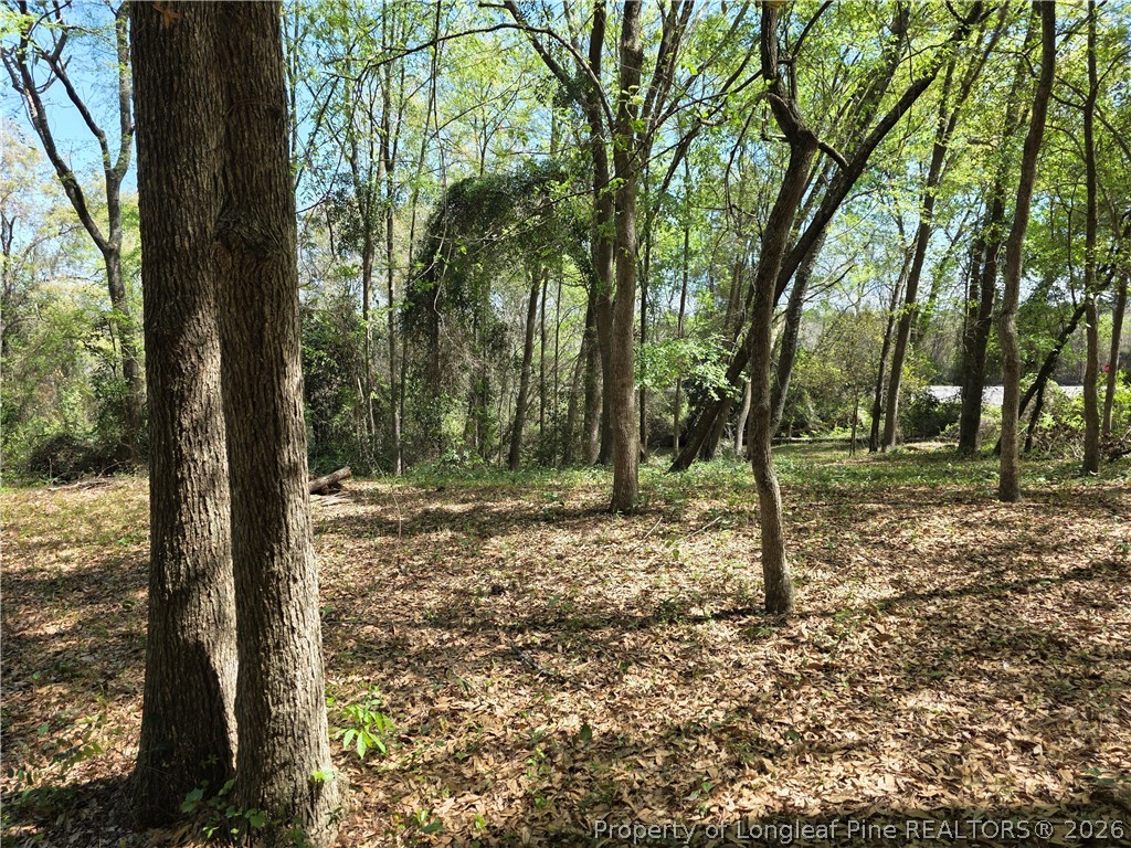 5354 Muscat Road Hope Mills, NC 28348 - Photo 6 of 12 a view of a forest filled with trees