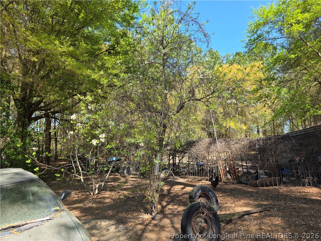 5354 Muscat Road Hope Mills, NC 28348 - Photo 8 of 12