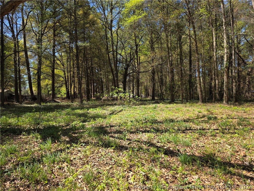 5354 Muscat Road Hope Mills, NC 28348 - Photo 10 of 12 a view of outdoor space with trees all around