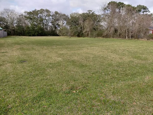 a view of a field with trees