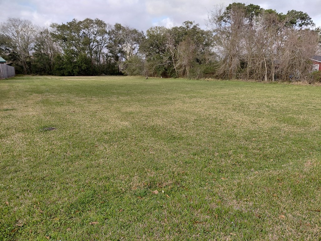 0 Hoelewyn Drive Angleton, TX 77515 - Photo 1 of 3 a view of a field with trees