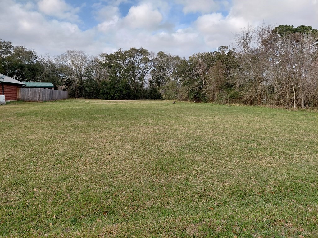 0 Hoelewyn Drive Angleton, TX 77515 - Photo 2 of 3 a view of a field with trees in the background