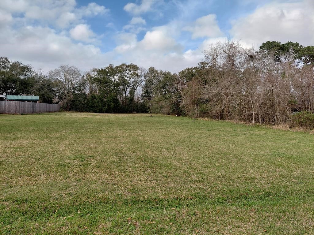 0 Hoelewyn Drive Angleton, TX 77515 - Photo 3 of 3 a view of a field with trees in the background