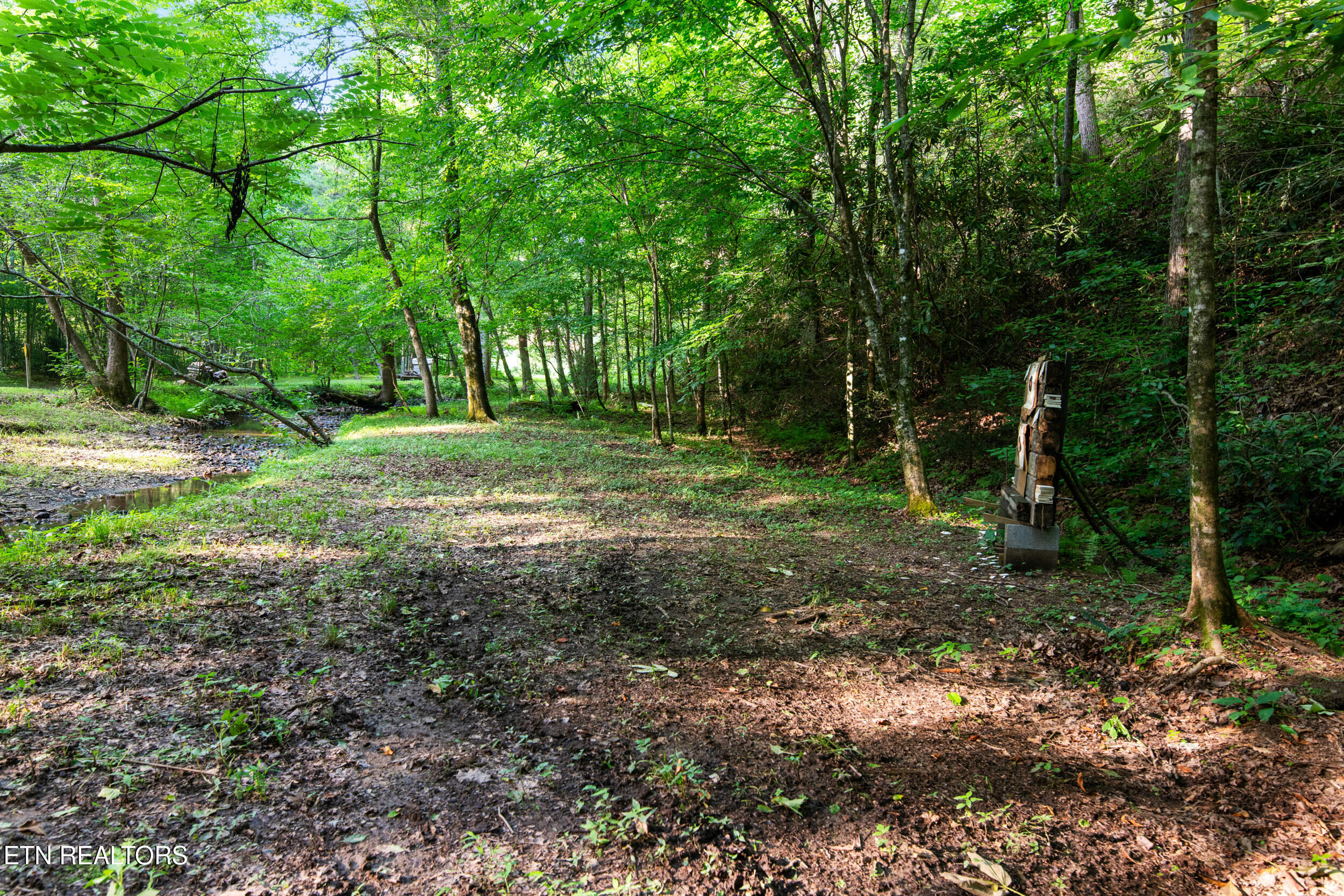 610 Towee Falls Road Tellico Plains, TN 37385 - Photo 12 of 60 610 towee falls rd-16