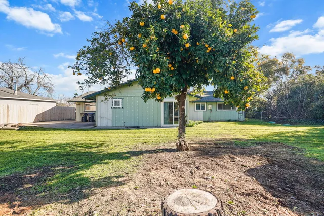 a view of a backyard with large trees