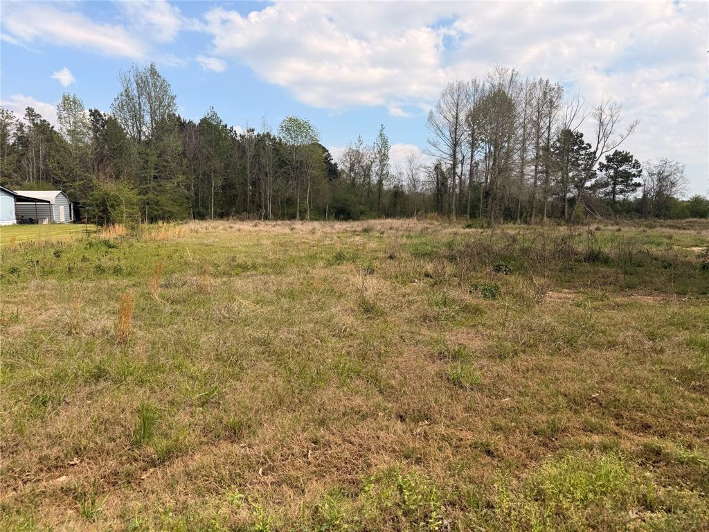 310 Wallace Lake Road Frierson, LA 71027 - Photo 1 of 1