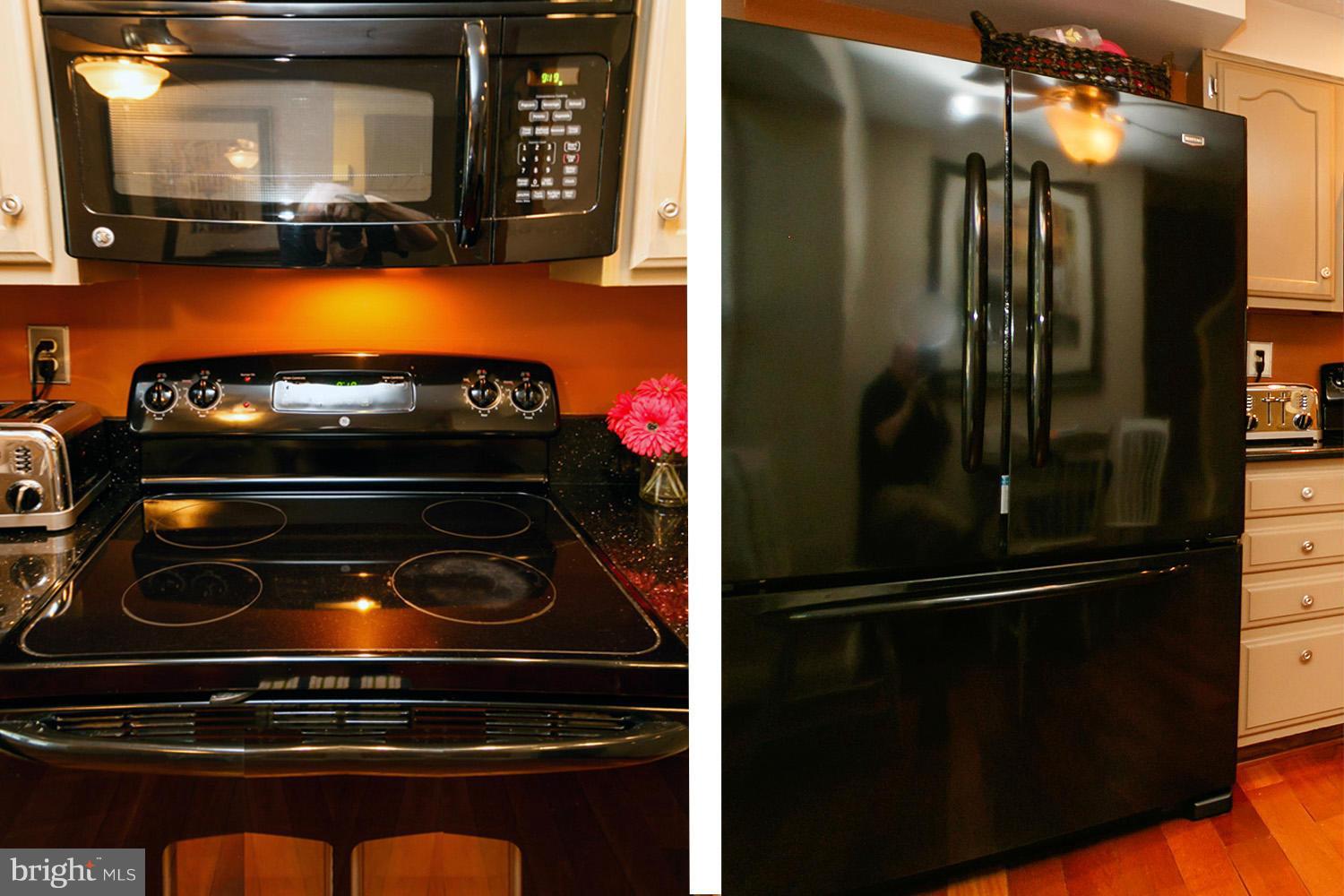 596 Quaker Ridge Court Arnold, MD 21012 - Photo 18 of 30 Sleek NEWER High-End Appliances